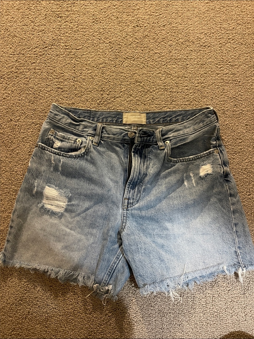 Everlane The Denim Short Organic Cotton